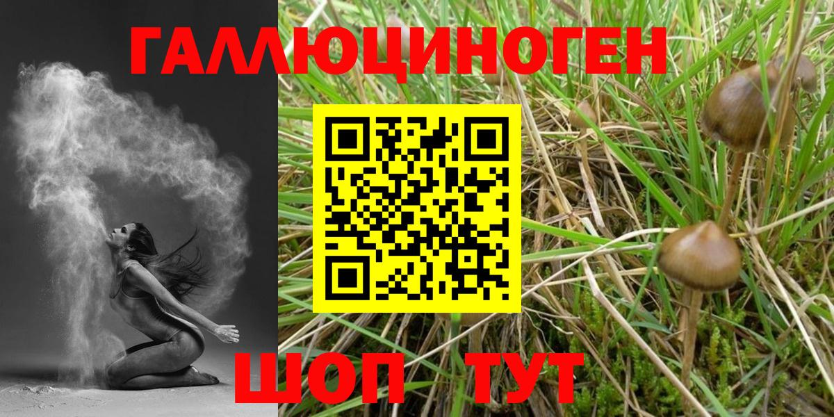 продажа наркотиков  Галлюциногенные грибы Cubensis  Вход с VPN  Псилоцибиновые грибы ЛСД  Саянск 