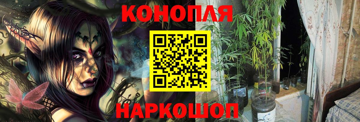 Шишки марихуана AK-47 Саянск